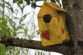 A small wooden house for birds on the tree in Luxembourg Royalty Free Stock Photo