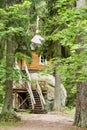 Small wooden house on a large stone in the forest Royalty Free Stock Photo