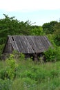 a small wooden house in the middle of a green forest Royalty Free Stock Photo