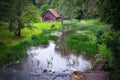 Small wooden house by the pond in the woods Royalty Free Stock Photo