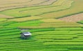 Small wooden house on the rice fields in Hagiang, Vietnam Royalty Free Stock Photo