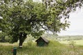 Small wooden house in rural field, view on a farmhouse in countryside, summer scenic landscape