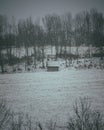 Small wooden house surrounded by now in cold winter, vertical Royalty Free Stock Photo