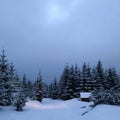 Small wooden house in the taiga. Winter in the woods