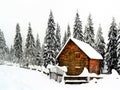 Small wooden house in a winter forest Royalty Free Stock Photo