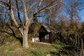 Small old wooden cottage in forest on sunny winter day Royalty Free Stock Photo