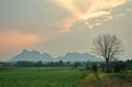 Small wooden hut under tree on green fields and mountain background Royalty Free Stock Photo