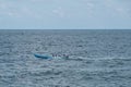 Small wooden motorboat on ocean - people on boat -