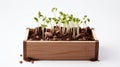 Small wooden potting box filled with seedlings in soil, against white background