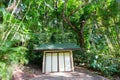 Small wooden shed in a lush tropical park