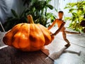 Small wooden toy man is a gardener and farmer with a huge orange or yellow vegetable squash. The concept of a good Royalty Free Stock Photo