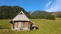 Traditional cottage in a mountain valley, Zakopane, Poland Royalty Free Stock Photo