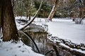 Small Woodland Stream with Snow