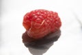 Small worm on a raspberry - super close macro - white background
