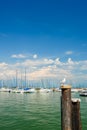 Small yachts in harbor in Desenzano, Garda lake, Italy Royalty Free Stock Photo