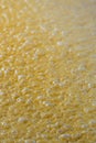 Small Yeast Bubbles of Yellow Bourbon Mash