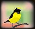 Small yellow bird illustration Royalty Free Stock Photo