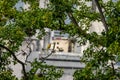 Small yellow bird Male Orange-fronted Yellow Finch in a tree looking to the city - Cali, Colombia Royalty Free Stock Photo