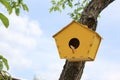 Small yellow birdhouse with a round entrance hangs on the trunk of a young tree in the garden against a blue sky with white clouds