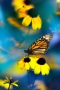 Small yellow bright summer flowers and Nonarch butterfly on a background of blue and green foliage in a fairy garden. Royalty Free Stock Photo