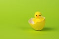 A small yellow chicken in an egg shell on a green background Royalty Free Stock Photo