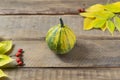 Small yellow-green pumpkin with autumn leaves and rose hips on a wooden background. Royalty Free Stock Photo