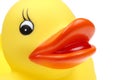 Small yellow plastic duck Royalty Free Stock Photo