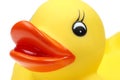 Small yellow plastic duck Royalty Free Stock Photo