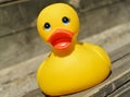Small yellow plastic duck Royalty Free Stock Photo