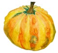 Small yellow pumpkin watercolor