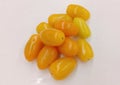 Small yellow tomato on the white background Royalty Free Stock Photo
