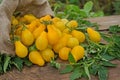 Small yellow tomatoes over old wooden background Royalty Free Stock Photo