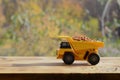 A small yellow toy truck is loaded with brown grains of buckwheat. A car on a wooden surface against a background of autumn fores