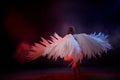 Small young model girl with white wings posing and dancing in dark black studo during photoshoot with flour or dust and colour