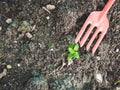 Small young plant and spade tool with soil background and copy s