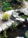 Smaller water garden ponds