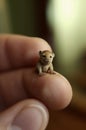 The smallest lion in the world held on your finger