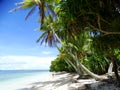 Tuvalu, Funafuti Atoll, the beach