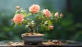 the smallest peach-colored bonsai rose plant, nestled in its designed pot