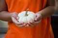 Mini White Pumpkin Royalty Free Stock Photo