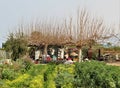 A Smallholding in Formentera