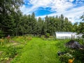 Smallholding in a private house (Kaluga region, Russia).