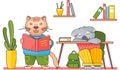 Smart active pupil or teacher cat reading a book. Koala schoolboy is sitting and sleeping at a desk