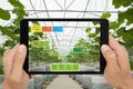 Smart agriculture concept, Agronomist or farmer use Artificial i Royalty Free Stock Photo