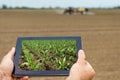 Smart agriculture. Farmer using tablet corn planting. Modern Agriculture concept. Royalty Free Stock Photo