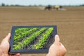 Smart agriculture. Farmer using tablet corn planting. Modern Agriculture concept. Royalty Free Stock Photo