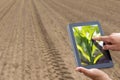 Smart agriculture. Farmer using tablet corn planting. Modern Agriculture concept. Royalty Free Stock Photo