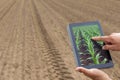 Smart agriculture. Farmer using tablet corn planting. Modern Agriculture concept.