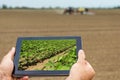 Smart agriculture. Farmer using tablet Soy planting. Modern Agriculture concept. Royalty Free Stock Photo