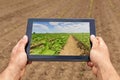 Smart agriculture. Farmer using tablet Soy planting. Modern Agriculture concept. Royalty Free Stock Photo